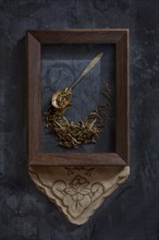 Herbs and spoon in picture frame