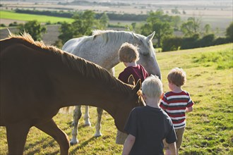 Caucasian brothers petting horses in rural field