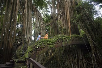 Tourists climbing bridge in jungle