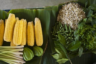 Close up of fresh corn