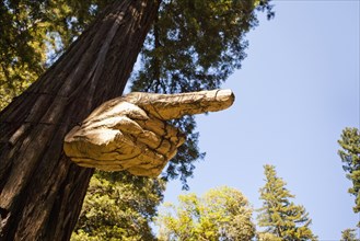 Tree branch carved into pointing hand
