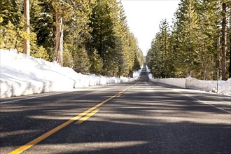 Road through snow covered forest