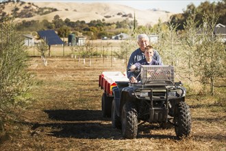 Older Caucasian man and grandson on four wheeler in olive grove