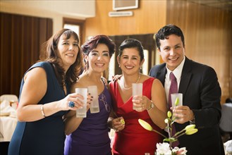 Family toasting each other at wedding reception