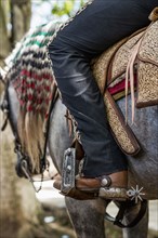 Caucasian man riding horse