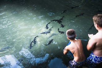 Boys watching sharks swim in ocean