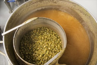 High angle view of hops brewing in vat of beer