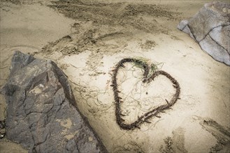 High angle view of knotted seaweed in heart shape on beach