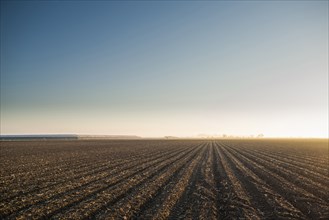 High angle view of farm crop fields under blue sky