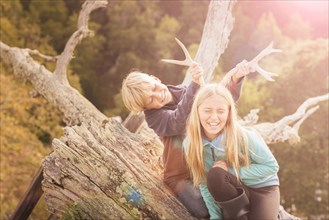 Caucasian brother and sister playing with antlers on tree