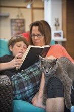 Caucasian mother and son reading book and relaxing with cat