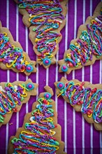Festive Christmas tree cookies with multicolor icing