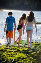 Caucasian boy and girls exploring tide pools with nets