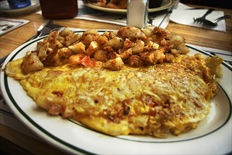 Omelet on plate with hash browns