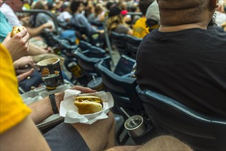 Man sitting in stadium eating hot dog