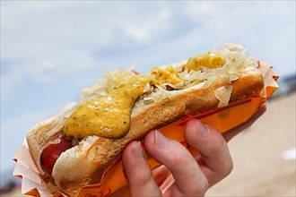 Hand holding hot dog with mustard and sauerkraut