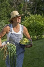 Caucasian woman harvesting vegetables from garden