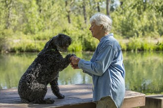 Older Caucasian woman shaking paw of dog in park