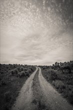 Empty road in desert landscape