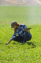 Caucasian farmer using digital tablet in field