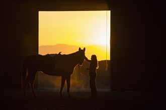 Caucasian woman grooming horse in barn