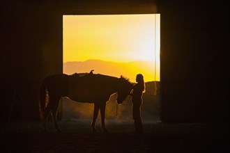 Caucasian woman grooming horse in barn