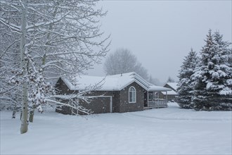 House and snowy front yard