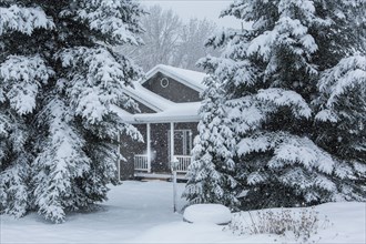 House and trees in snowy front yard