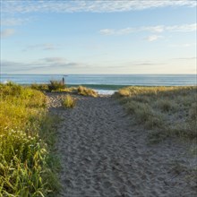 Sandy path on remote beach