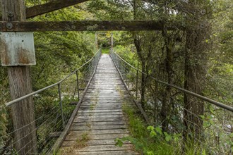 Wooden bridge in remote forest