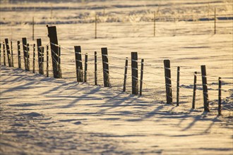 Fence in snowy rural field