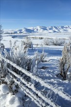 Frosty fence and river in snowy rural landscape