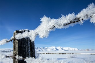 Frosty fence in snowy rural landscape