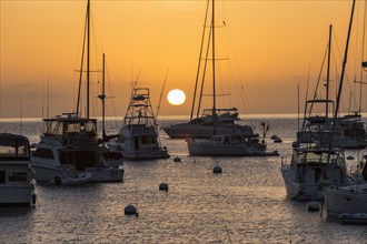 Boats moored at sunset