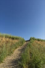 Dirt path on hill