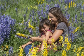 Caucasian mother and daughter sitting on hillside with wildflowers