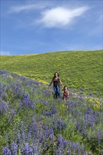 Caucasian mother and daughter walking on hillside with wildflowers