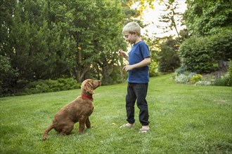 Caucasian boy training dog in grass