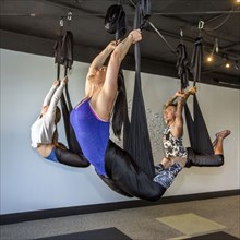 People performing yoga hanging from silks