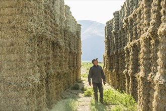 Caucasian farmer checking stacks of hay