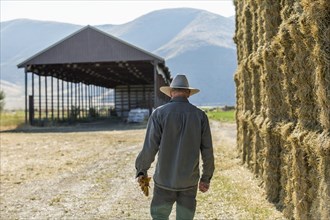 Caucasian farmer walking near stacks of hay