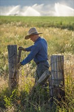 Caucasian farmer repairing barbed wire fence