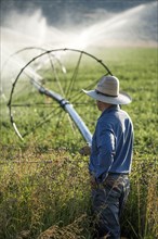 Caucasian farmer leaning on barbed wire fence watching irrigation