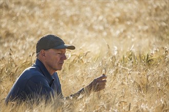 Caucasian farmer crouching in field checking crop