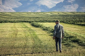 Caucasian farmer walking in field checking crop