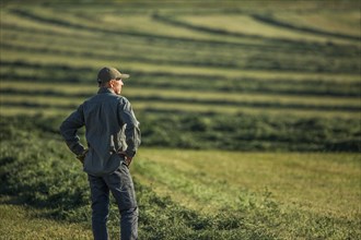 Caucasian farmer standing in field checking crop