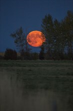 Orange full moon over landscape