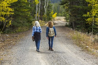 Caucasian women walking on forest path