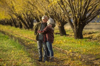 Caucasian couple kissing near trees in autumn