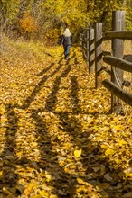 Caucasian woman walking near wooden fence in autumn